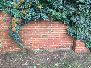 Wall Cleaning London